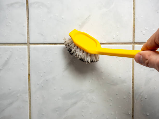 Best Post-Remediation Services in Agua Dulce, CA